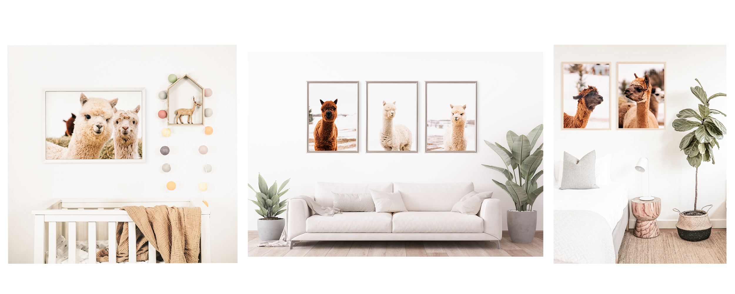 Alpaca fine art print displayed above a nursery crib