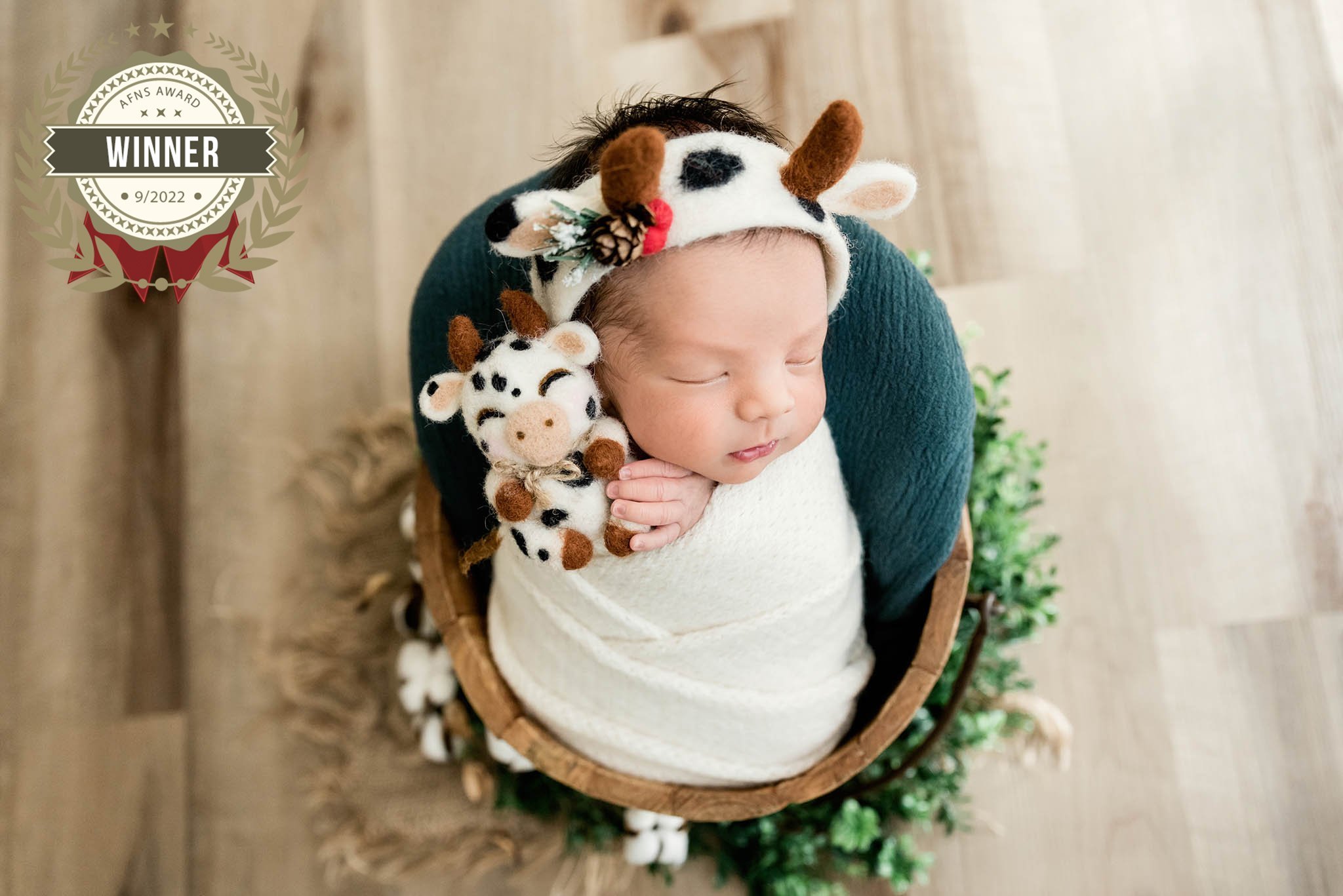 AFNS award-winning posed newborn photograph by Karissa Johnson Photography
