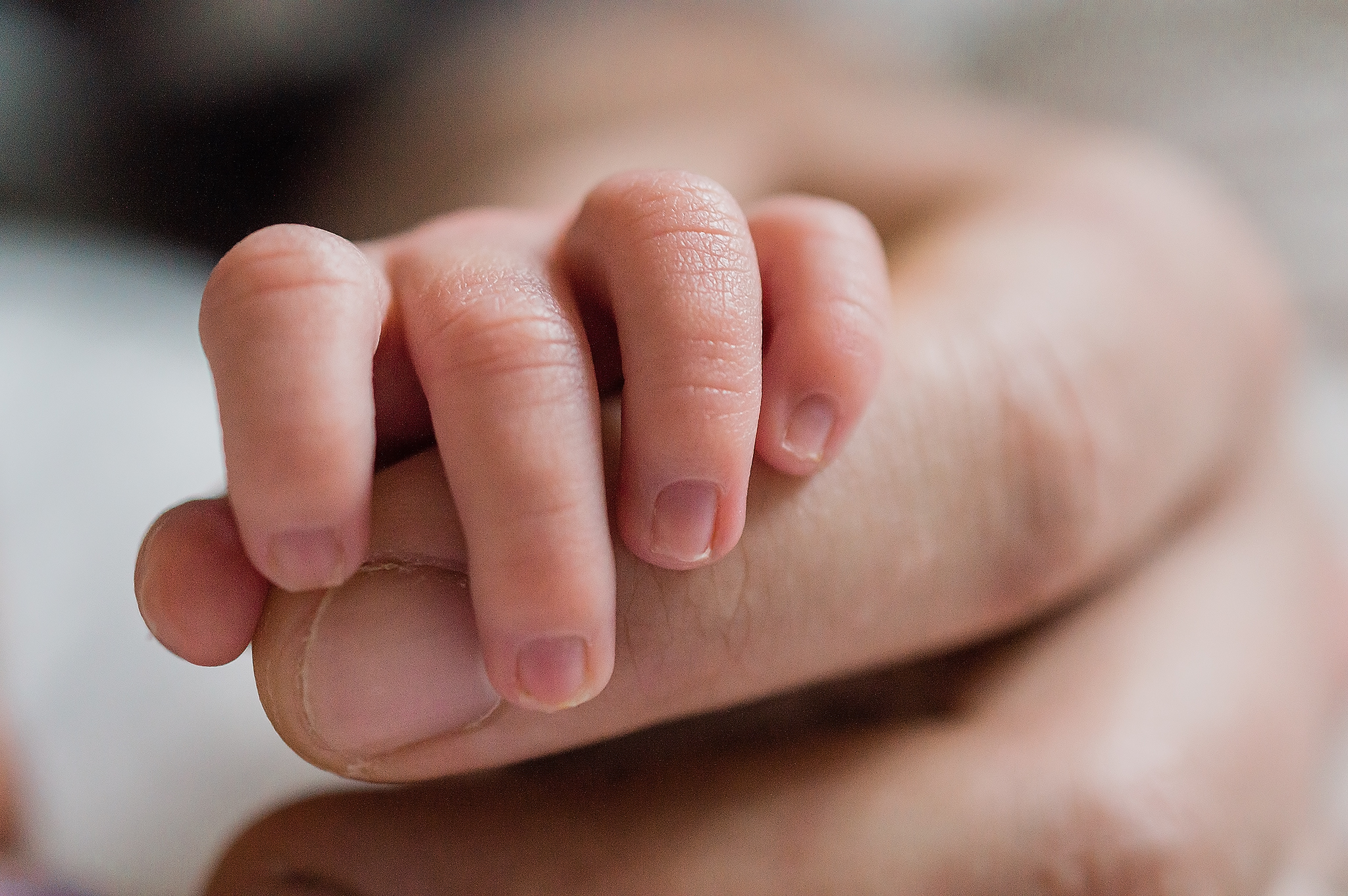 newborn hand holding onto dads finger in home lifestyle newborn photographer